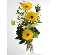 Korkea kimppu, keltasåvy